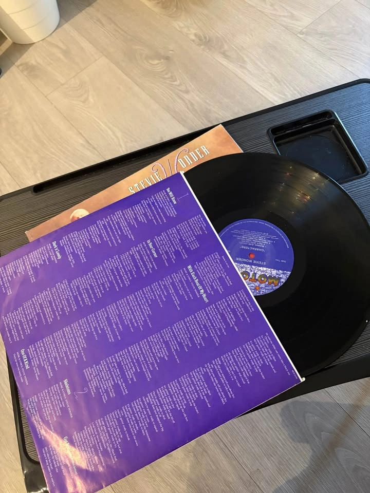 Stevie Wonder Character Vinyl - photo 2