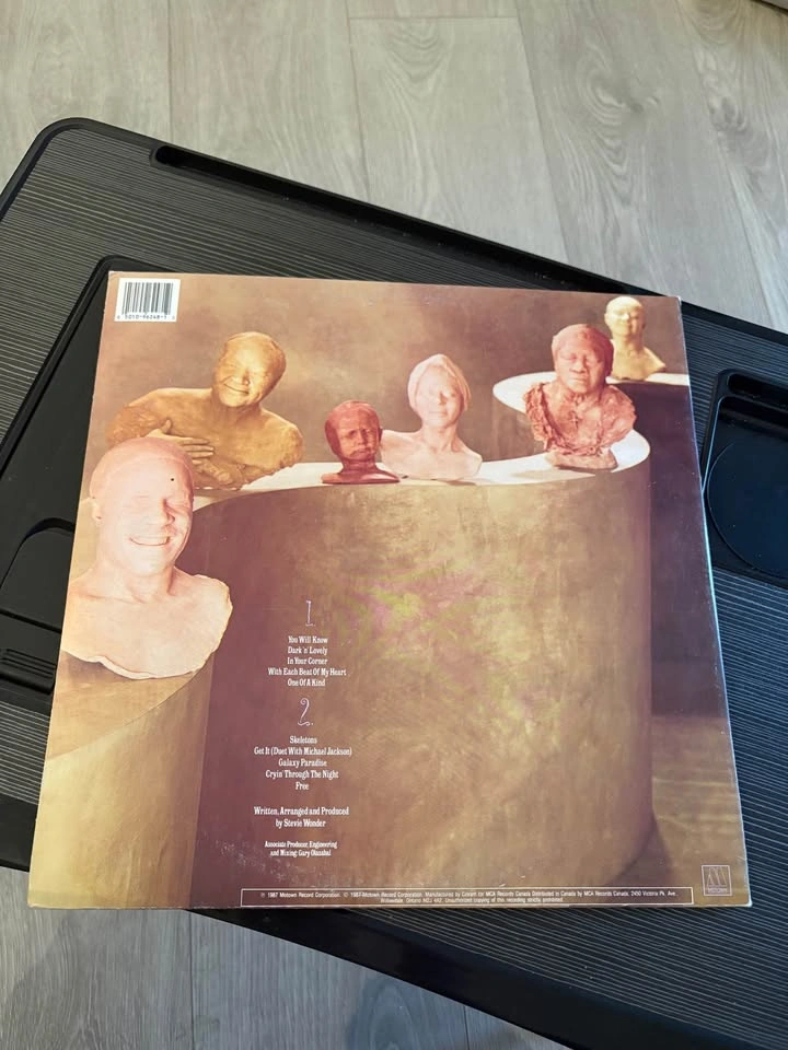 Stevie Wonder Character Vinyl - photo 3