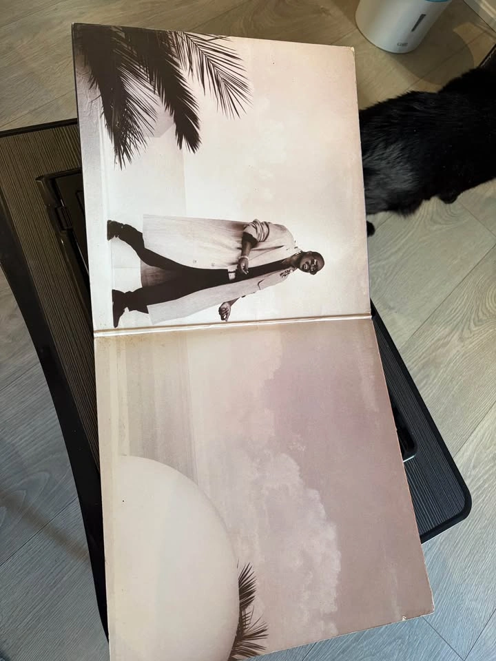 Stevie Wonder Vinyl - In Square Circle - photo 2