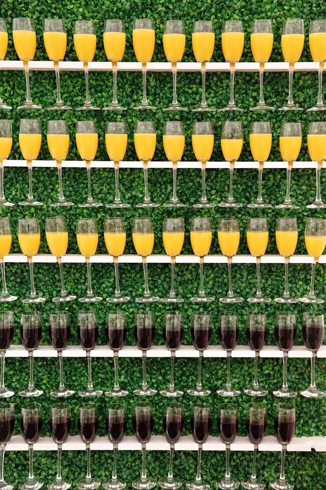 Champagne Wall FOR RENT (holds 60 flutes)