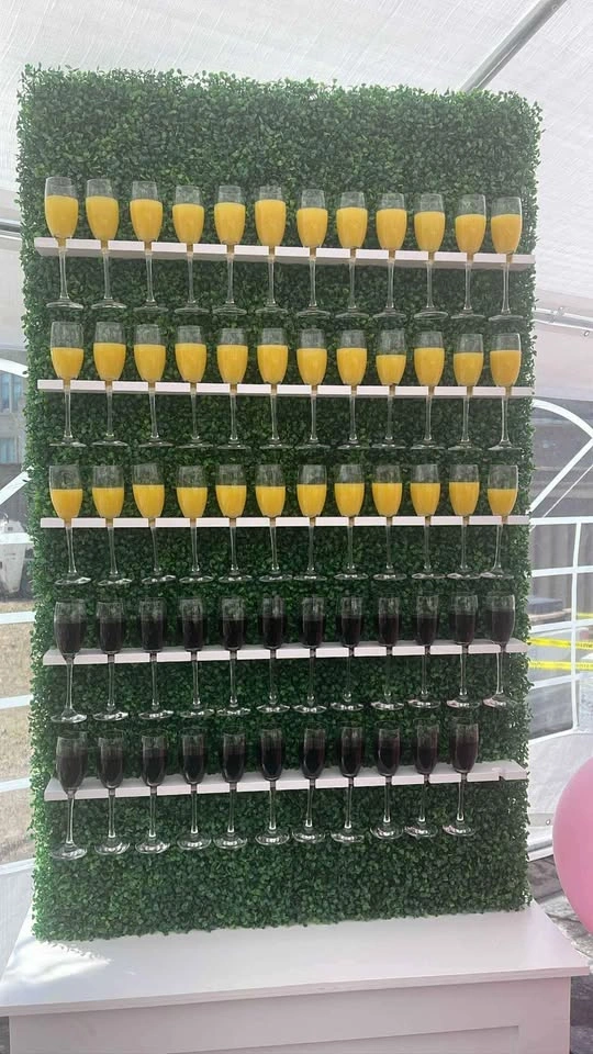 Champagne wall FOR RENT 7 feet tall! Holds 60 flutes. - photo 2