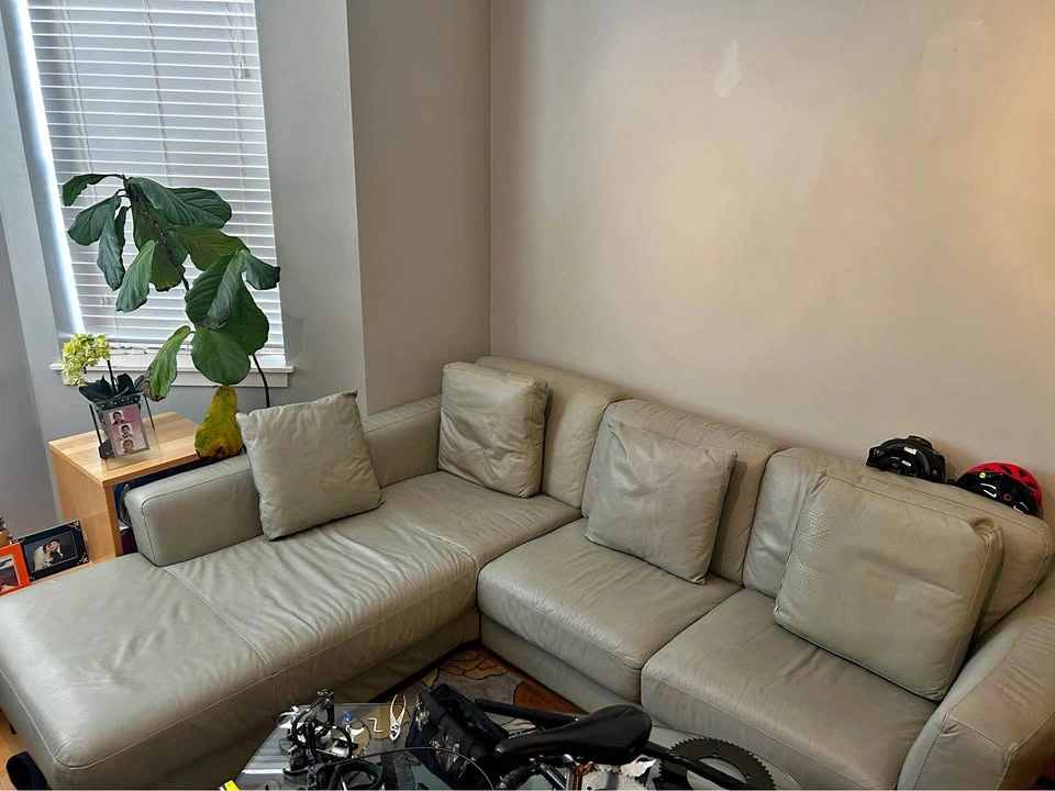 Premium leather couch