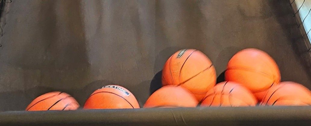Lifetime Basketball Indoor Game - photo 5