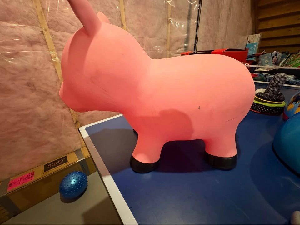 Toddler Bounce Toy - photo 2