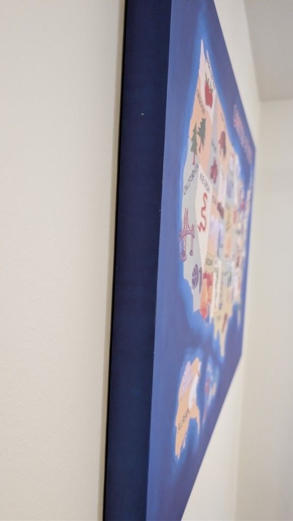 Large Decorative Art Canvas Of The United States - photo 4