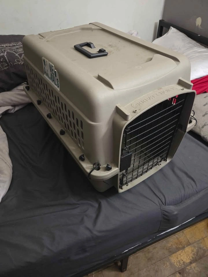Grreat Choice Pet Carrier - photo 2