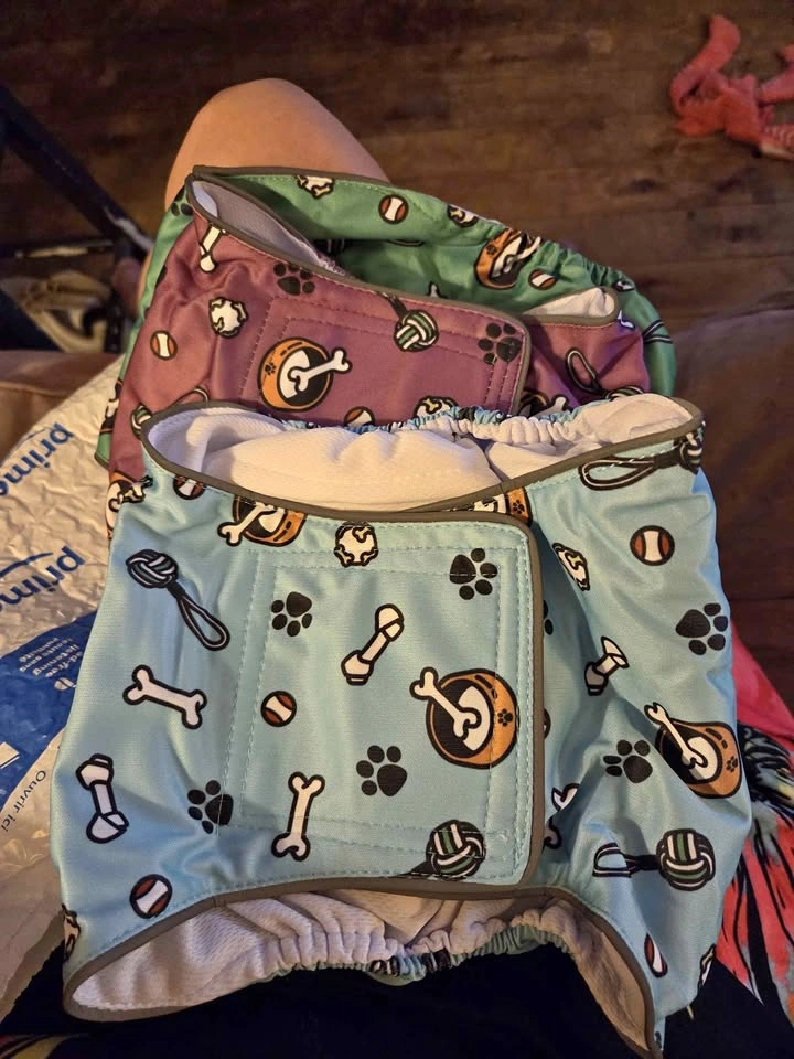 Male Dog Diapers