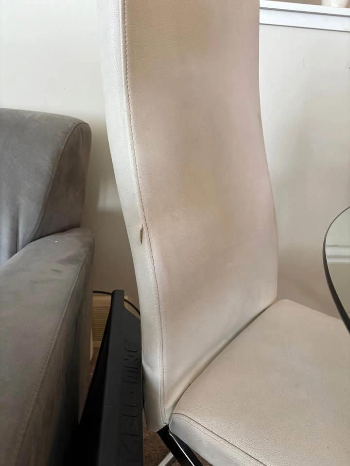 NEED GONE - Kitchen Dining Table and Cantilever Chairs - photo 4