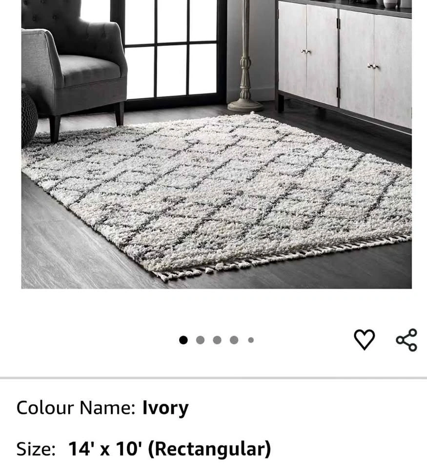 nuLOOM Roseanne Transitional Shag Area Rug 10' x 14' Ivory