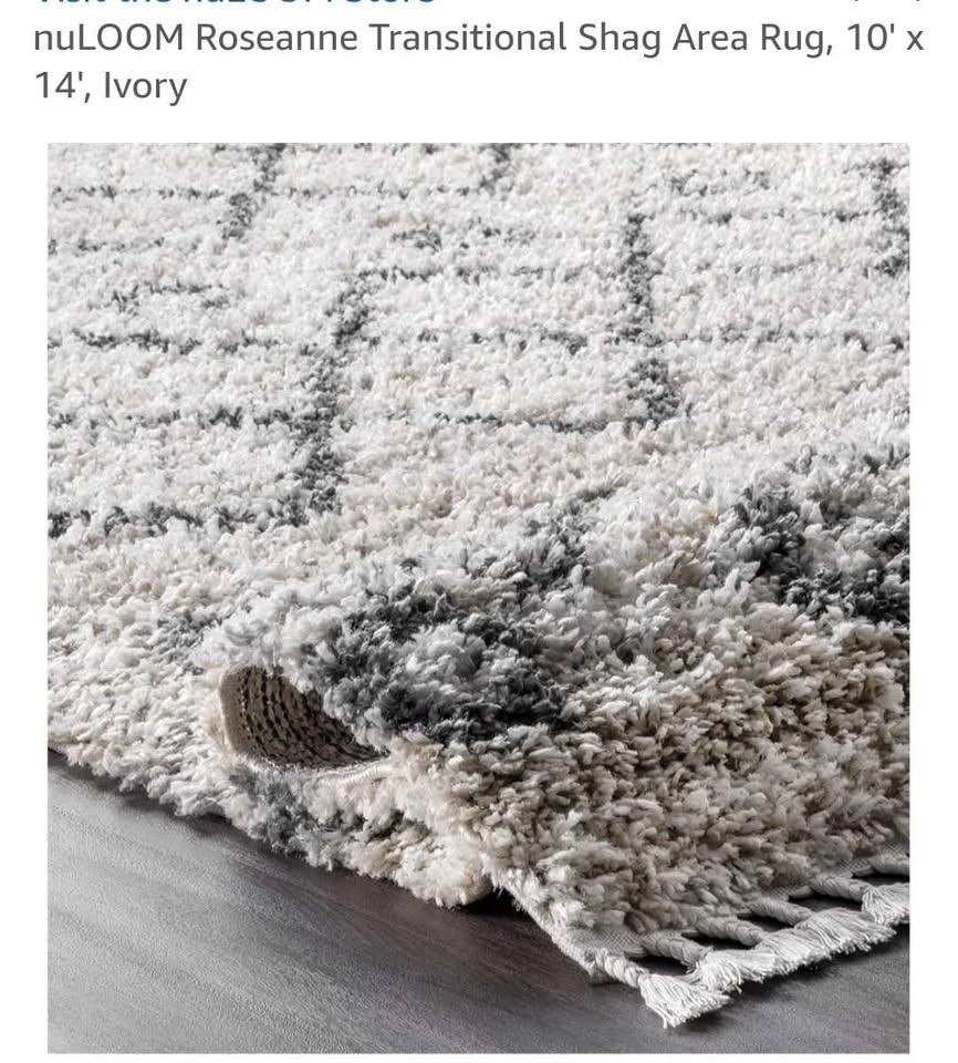 nuLOOM Roseanne Transitional Shag Area Rug 10' x 14' Ivory - photo 2