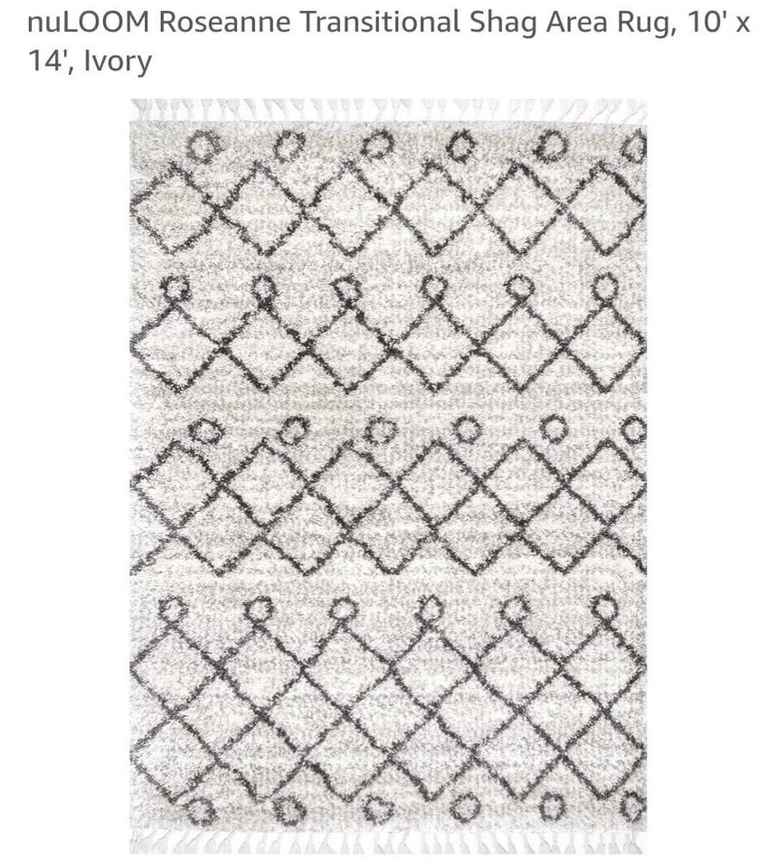 nuLOOM Roseanne Transitional Shag Area Rug 10' x 14' Ivory - photo 3