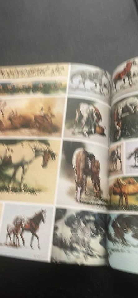 The Art of Bev Doolittle: Pictures & Commentary - photo 5