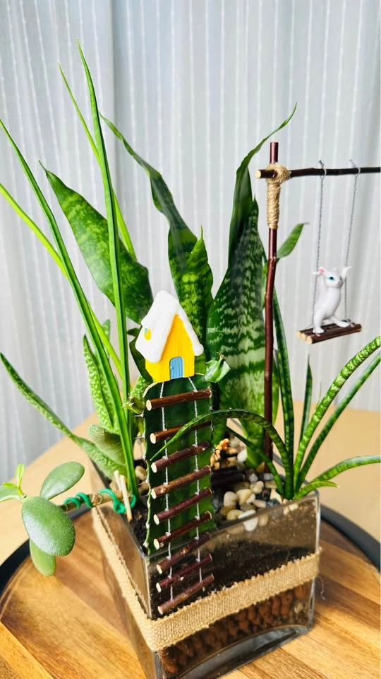 Super low maintenance plants / Buy 1 Get 2nd 50% Off - photo 2