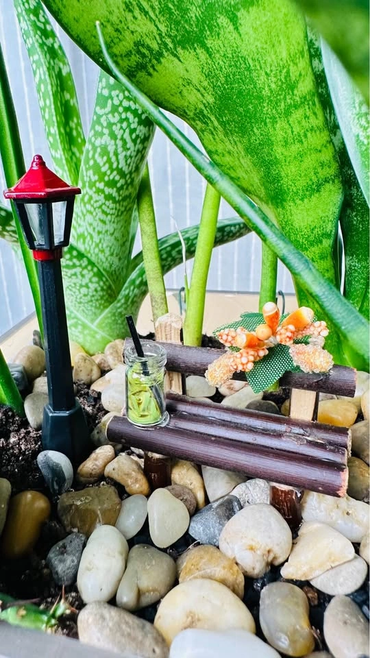 Super low maintenance plants / Buy 1 Get 2nd 50% Off - photo 3