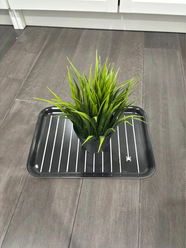 IKEA KUSTFYR tray + free ikea plant