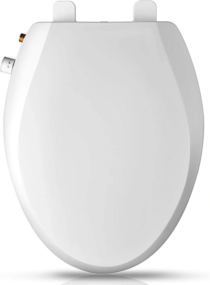 White Bidet Toilet Seat with Dual Nozzle