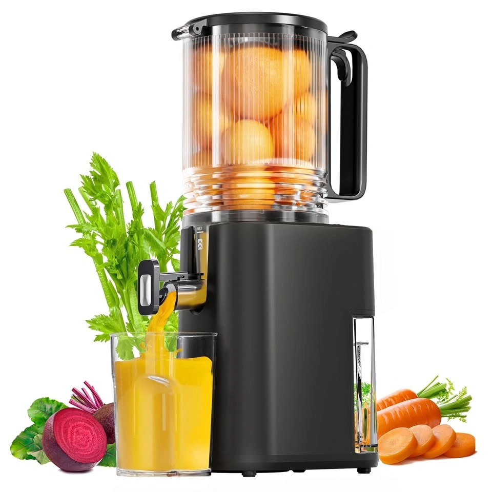 Large Feed Chute Juicer