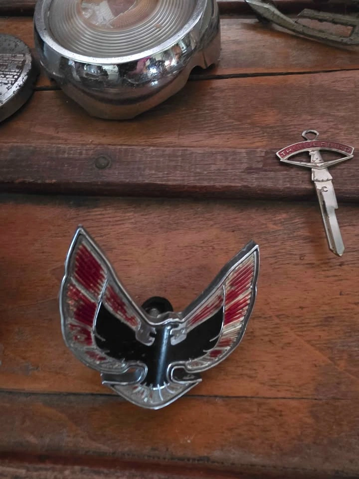 Vintage Car Emblems, Horn Caps & Trim Lot - photo 3