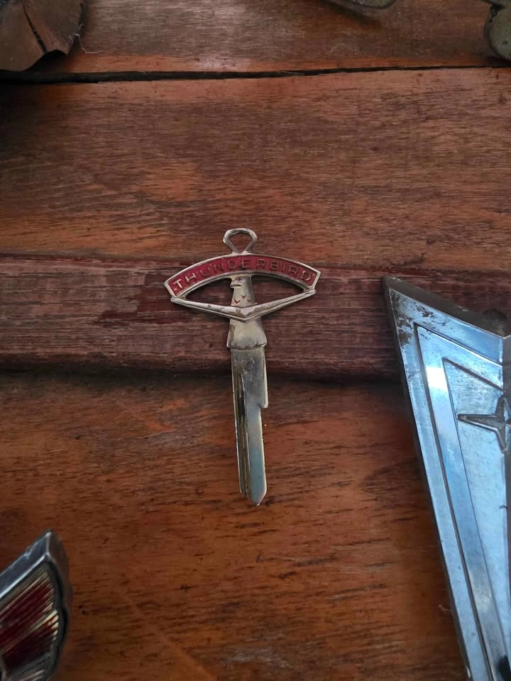 Vintage Car Emblems, Horn Caps & Trim Lot - photo 4