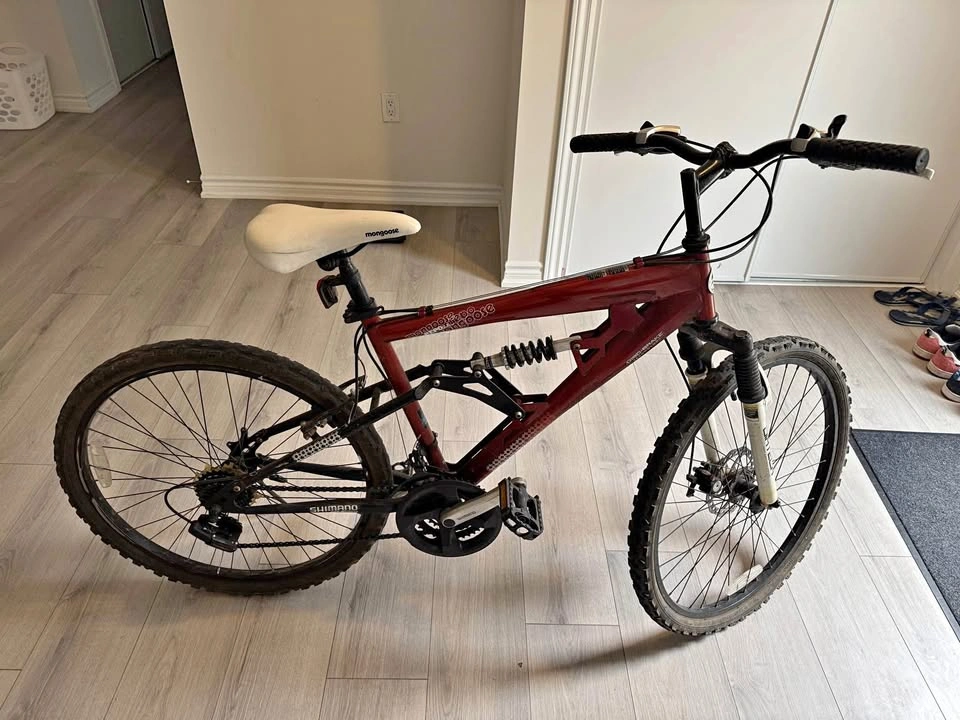 Adult Bikes - 2