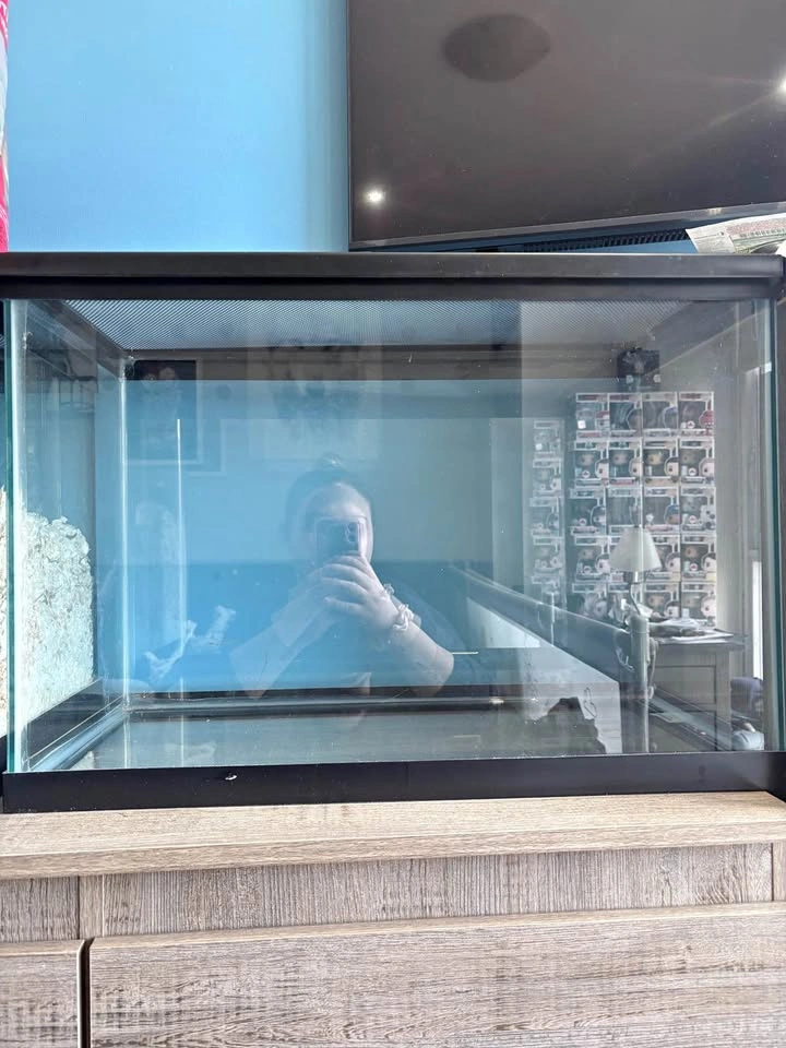 20 Gallon Terrarium with Cover