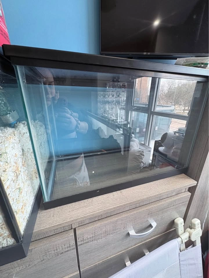 20 Gallon Terrarium with Cover - photo 4