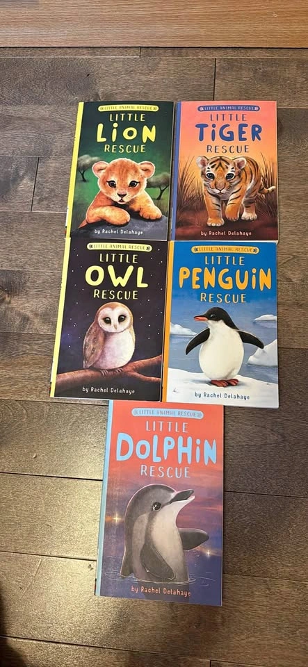 Little Animal Rescue Books Set 5 Rachel Delahaye