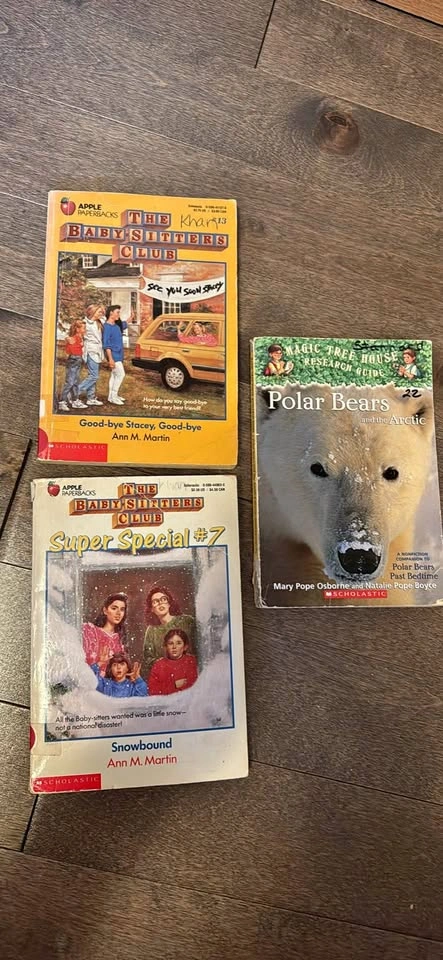 Baby-sitters Club & Magic Tree House Books - 3 book lot