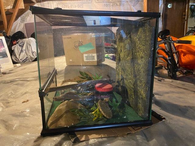 Exo Terra Terrarium 18x18x24 inch - photo 2