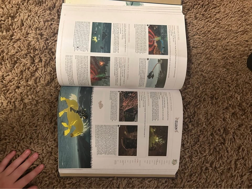 Zelda Tears of the Kingdom Official Guide Book - photo 3