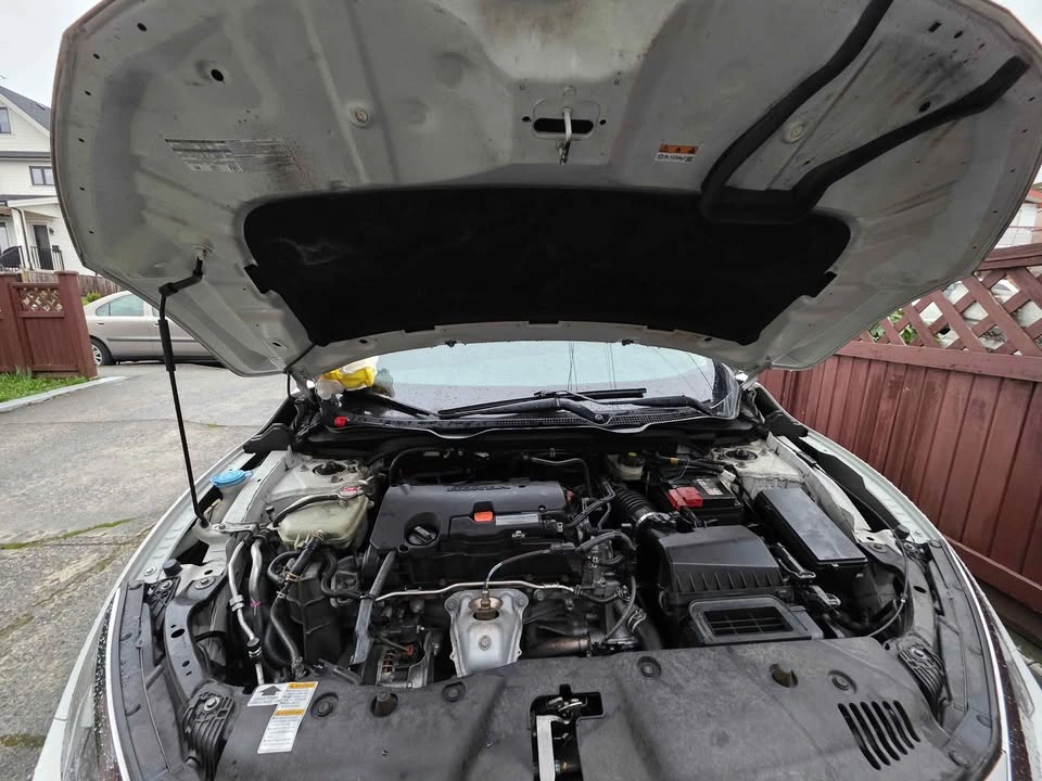 Mobile Car Detailing - photo 3