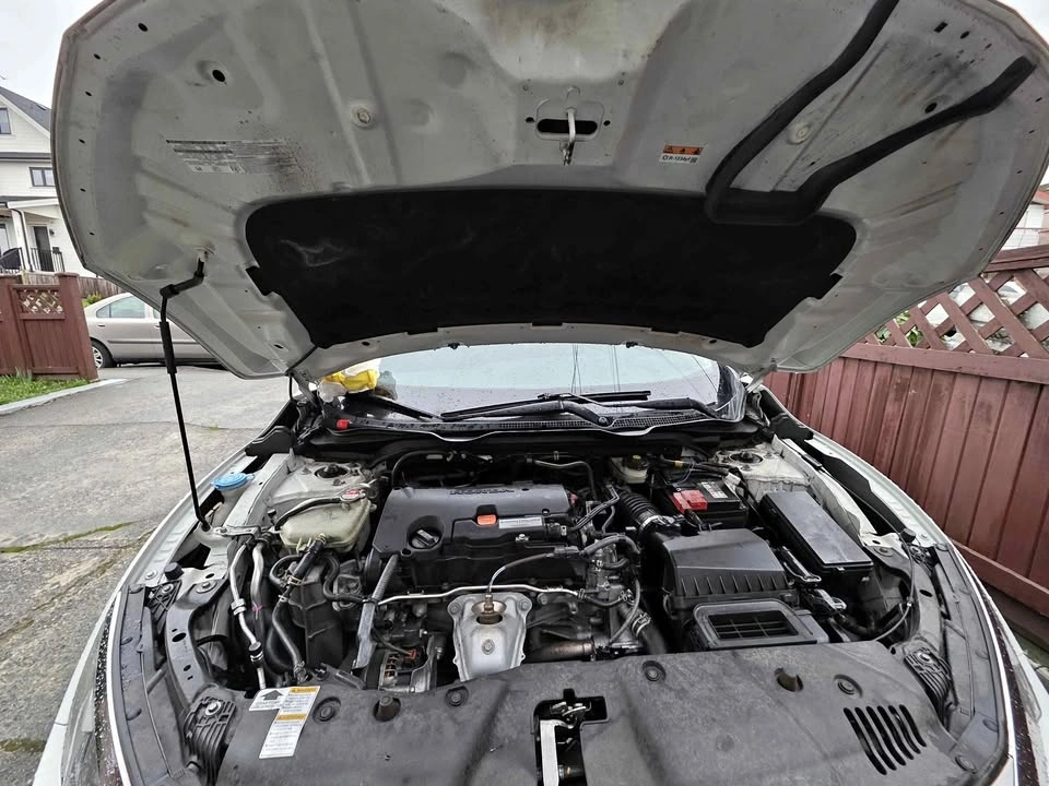 Engine Bay Detailing