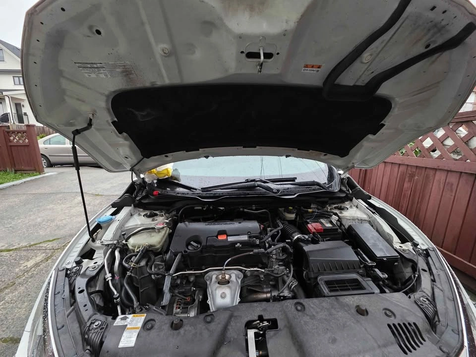 Engine Bay Detailing - photo 3