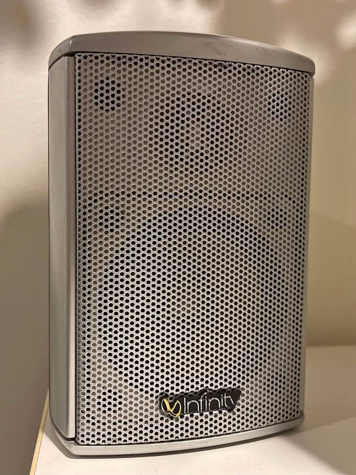 Pair of Infinity Speakers