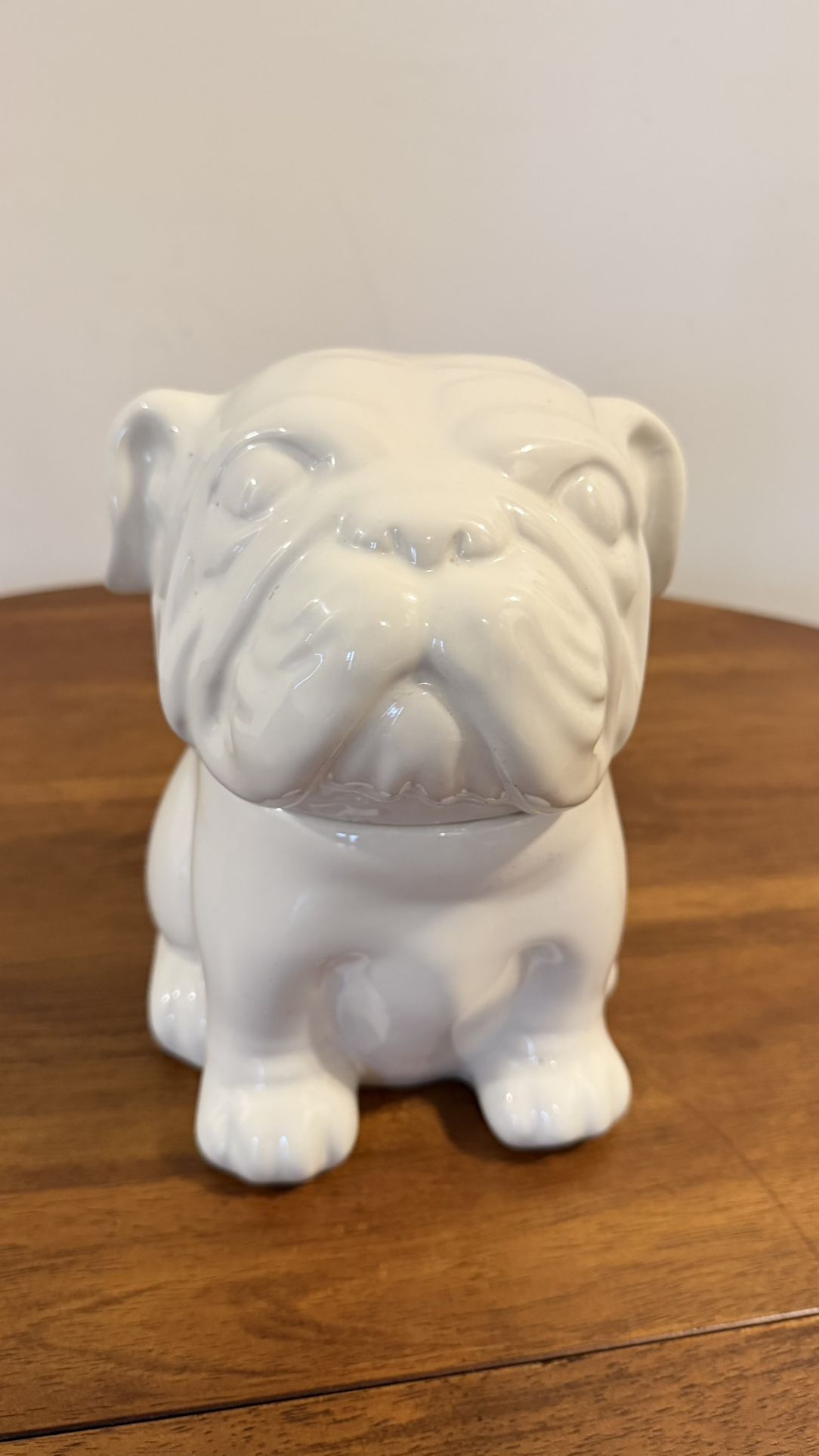 English Bull Dog Cookie/Treat Jar