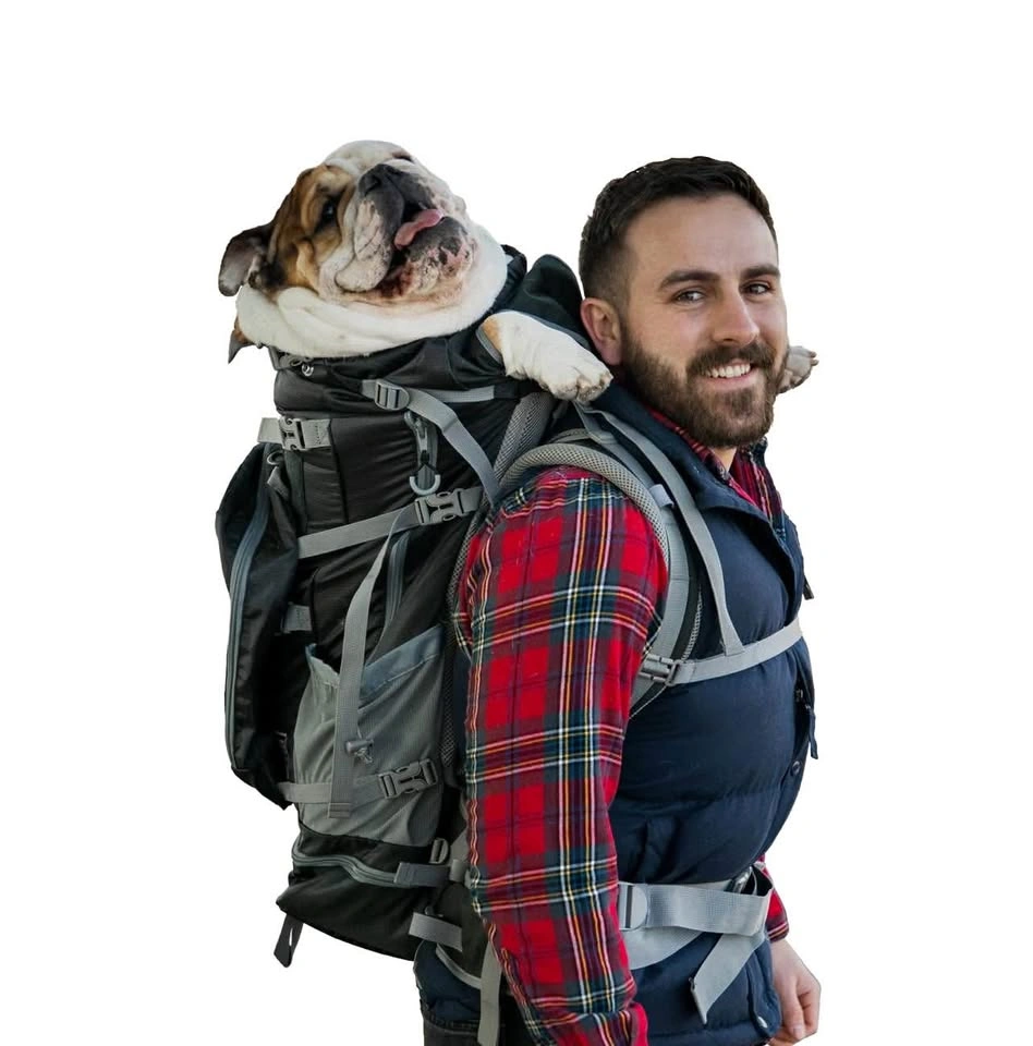 Kolossus Dog Carrier - New XL Size