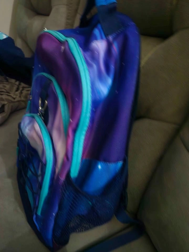 Pottery Barn Backpacks - Oceana & Aurora - photo 3