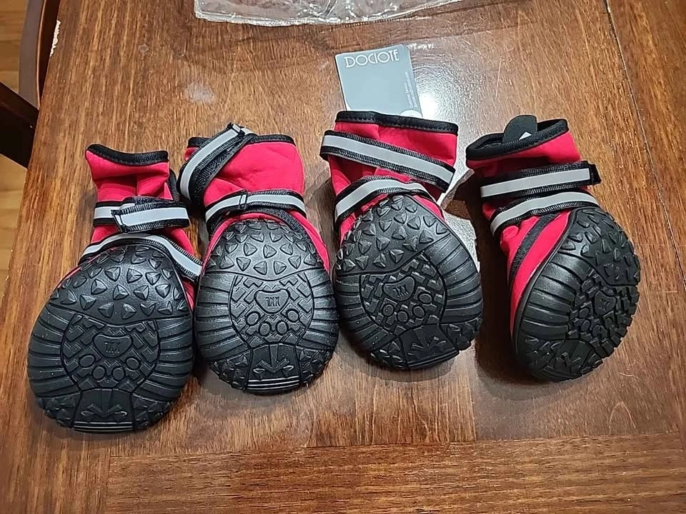 Used Dociote Pack Of Red Dog Shoes Pre Owned XXL - photo 2
