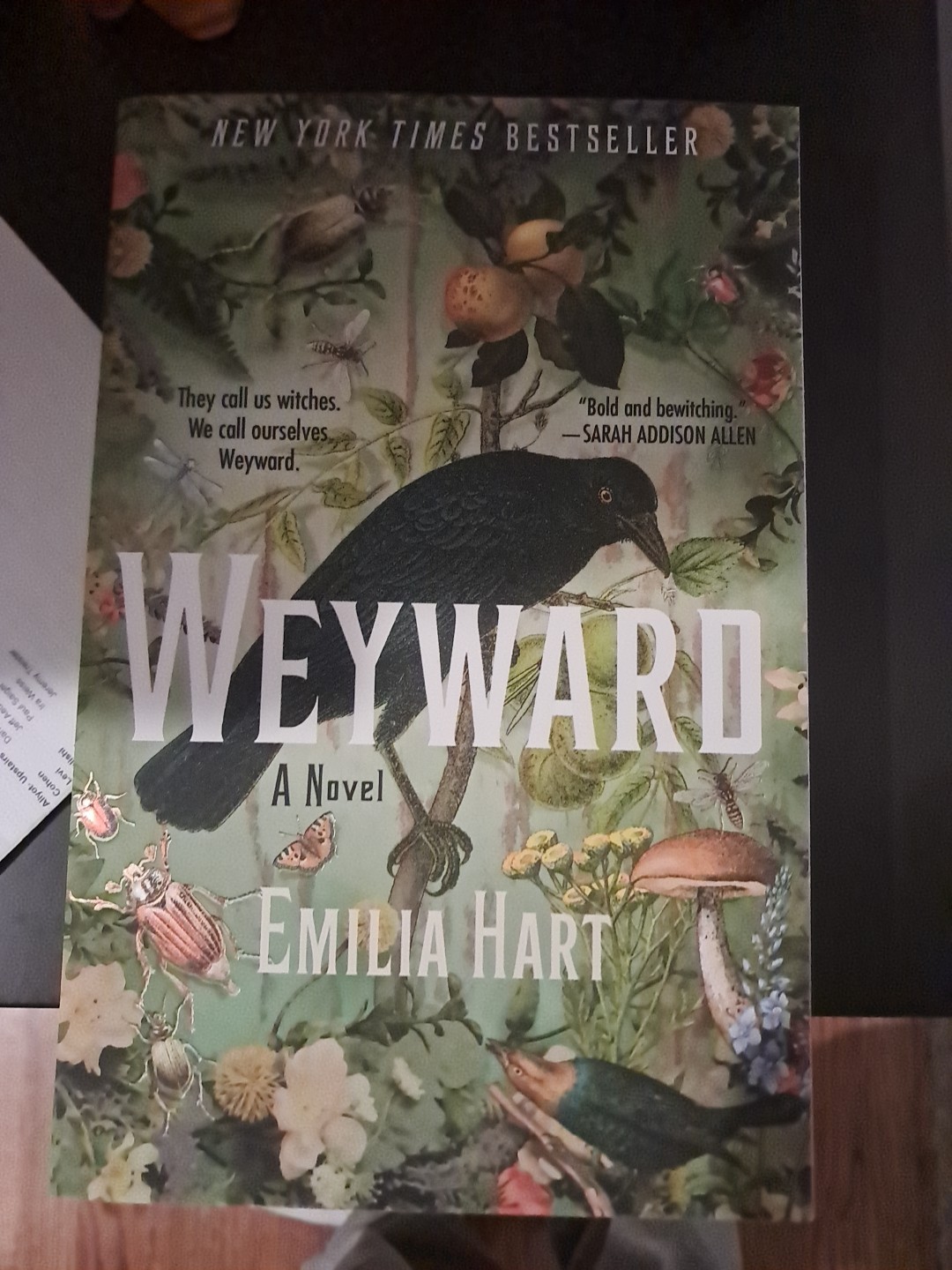 Weyward: A Novel by Emilia Hart (2024 Trade Paperback)