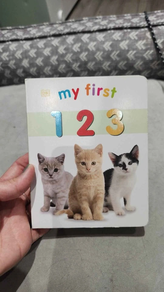 DK My First ABC and 123 Board Books - photo 3