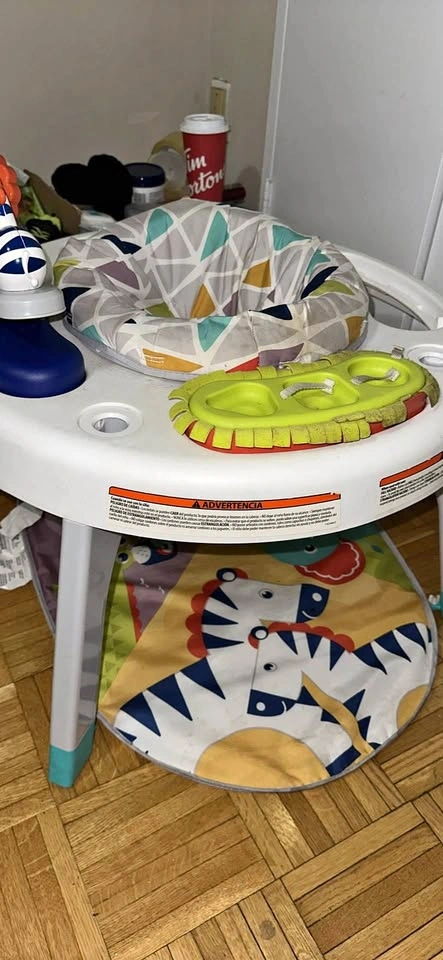 Fisher-Price Baby Bouncer