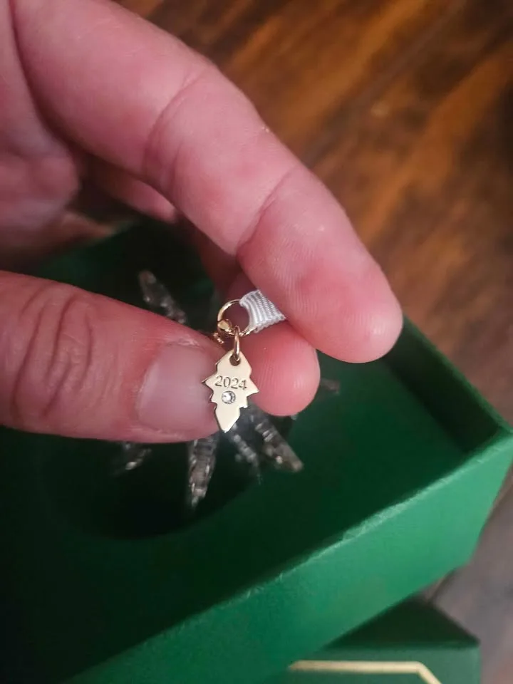 SWAROVSKI 3D Ornament 2024 W Gift Box 5674347 image indicator(4)