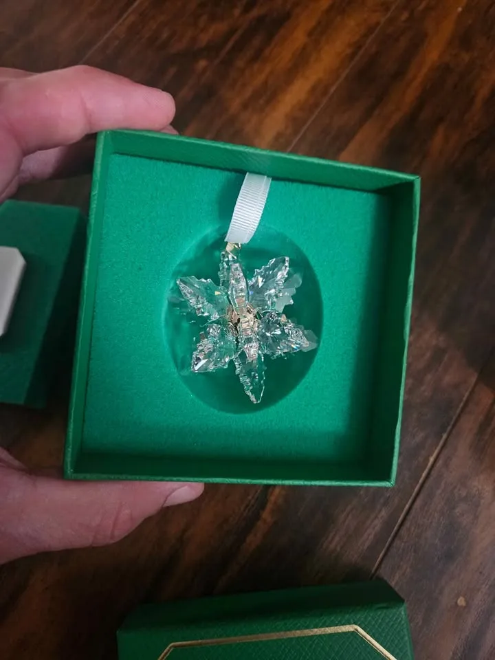 SWAROVSKI 3D Ornament 2024 W Gift Box 5674347 image indicator(5)
