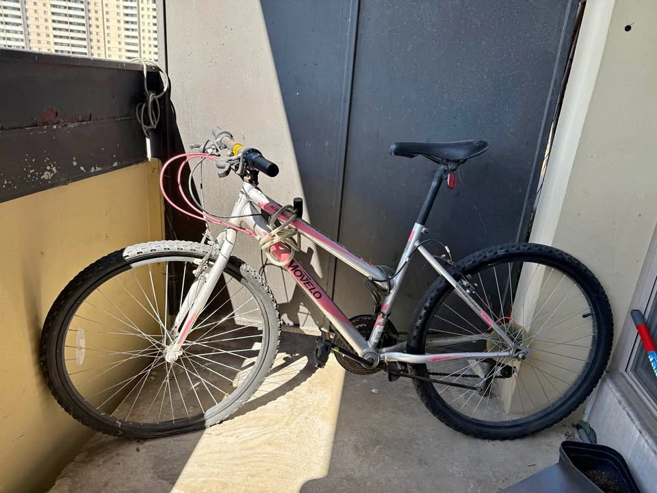 Movelo Algonquin 26" Mountain Bike