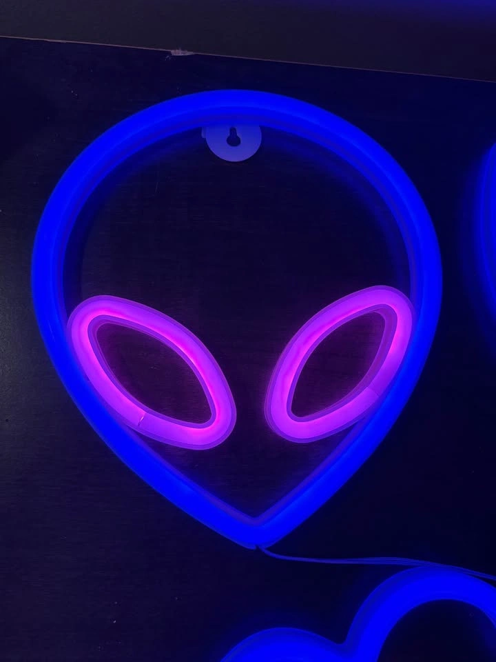 Neon LED Wall Signs - photo 4