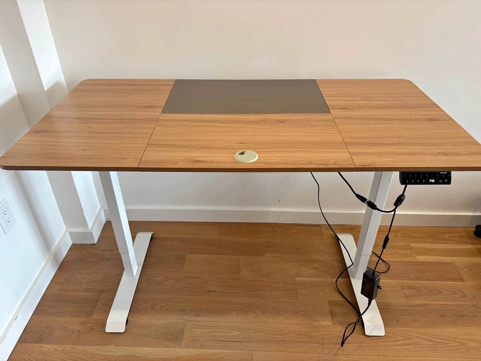 Electric Standing Desk (55" x 28") - Adjustable Height