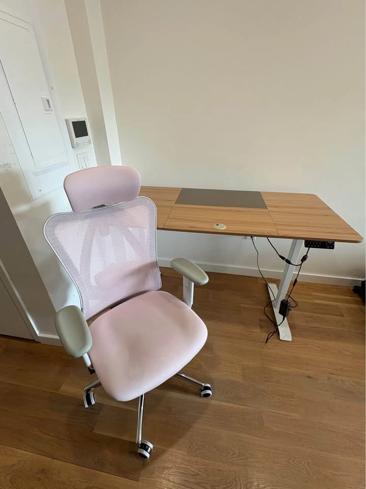 Electric Standing Desk (55" x 28") - Adjustable Height - photo 3