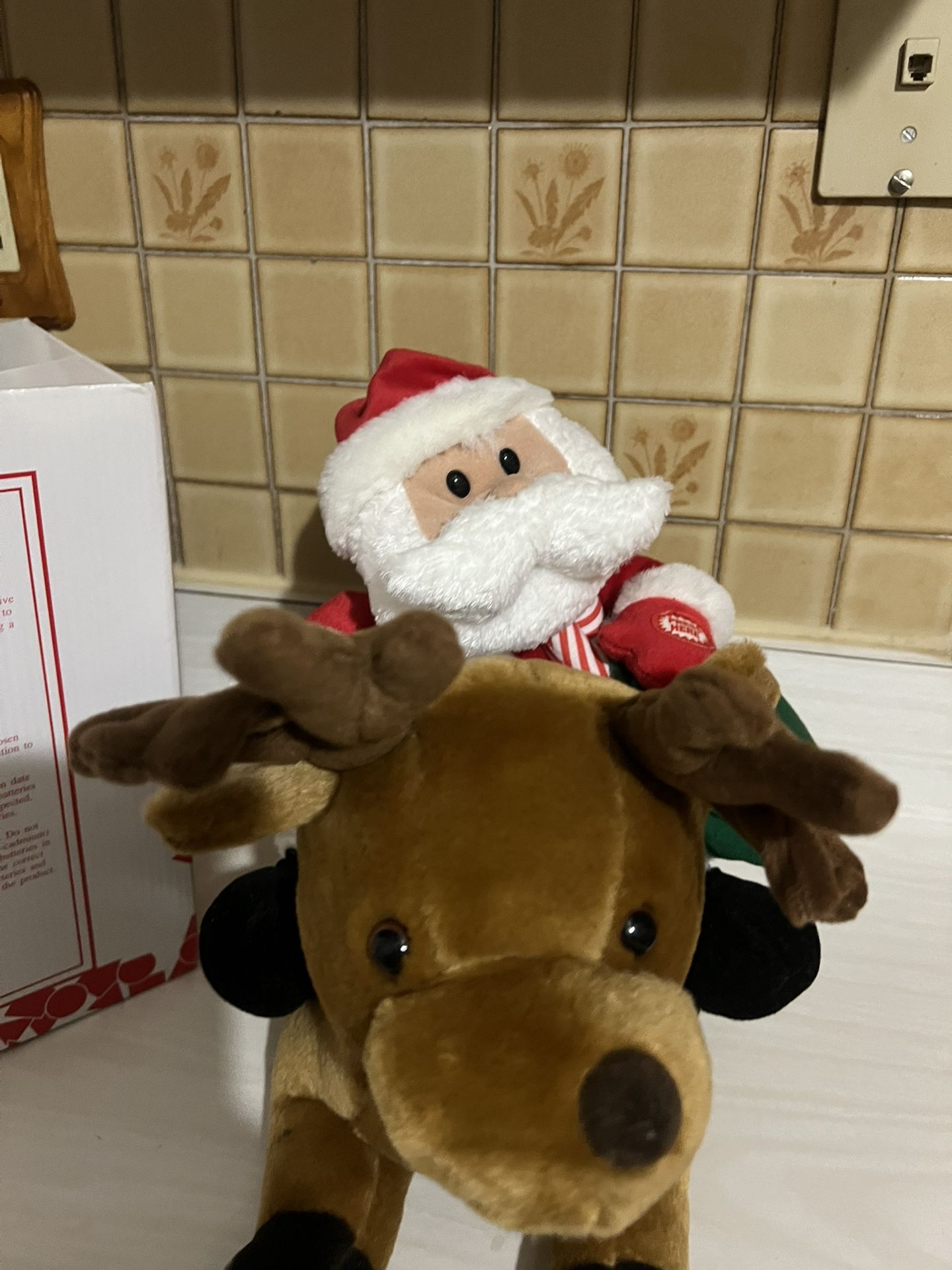 Santa and Dasher - photo 4