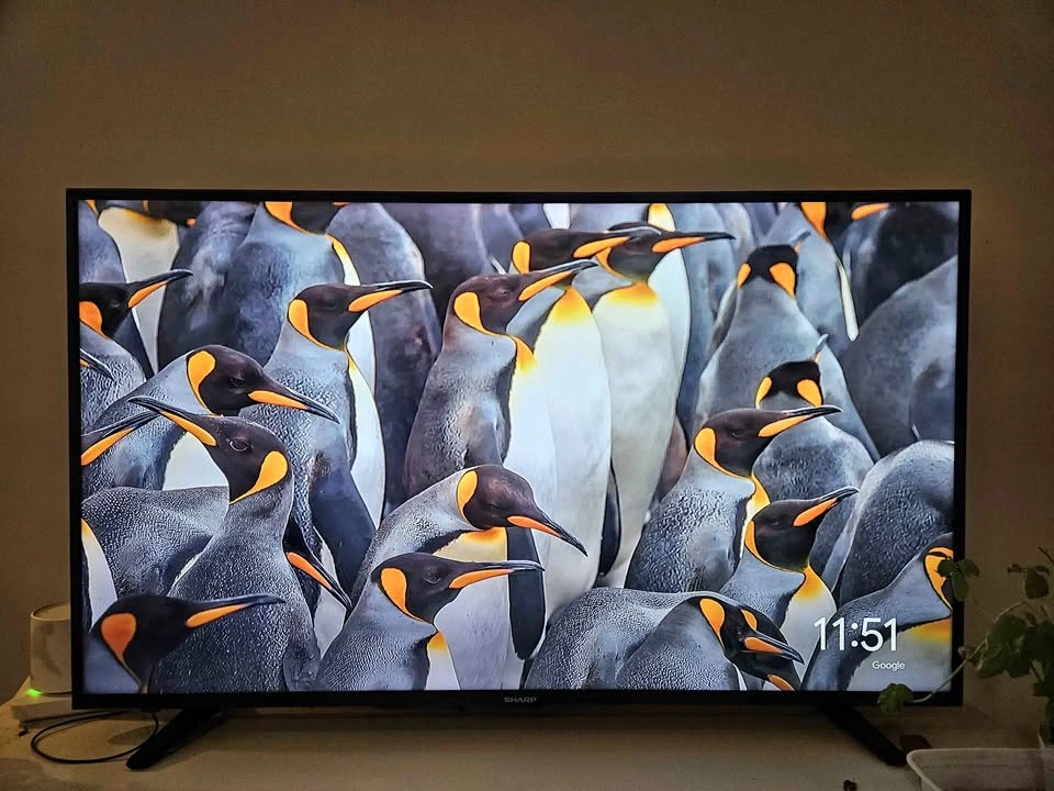 55-inch Sharp 4K UHD Smart TV