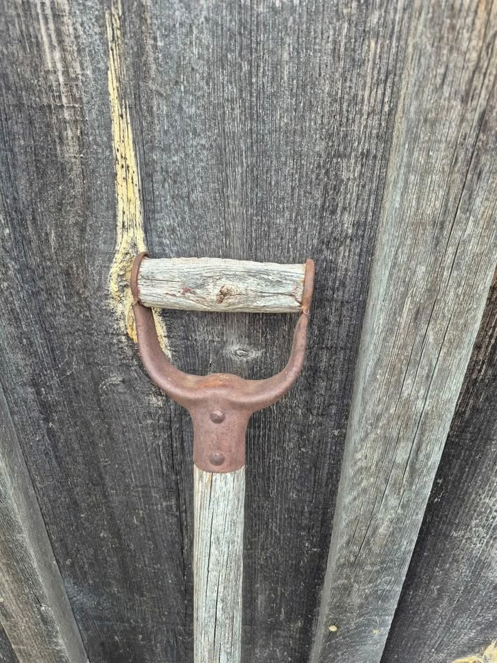 Vintage Garden Tools, ONLY PITCHFORK LEFT - photo 2